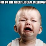 crybaby | WELCOME TO THE GREAT LIBERAL MELTDOWN 2016 | image tagged in crybaby | made w/ Imgflip meme maker
