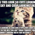 Cute Kitty | OMFG THIS LOOK SO CUTE LOOKING UP AT THE SKY AND CRAP LOOKING LIKE SHE'S; PRAYING OR LOOKING AT GOD AND STUFF THIS LOOK SO FREAKING CUTE WHY IN THE HELL SHE AIN'T MORE FAMOUS THAN GRUMPY CAT LIKE WHAT'S WRONG WITH YOU INTERNET! 🖕🏼🖕🏼🖕🏼🖕🏼🖕🏼 | image tagged in cute kitty | made w/ Imgflip meme maker
