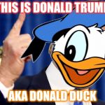 Donald Duck Trump | THIS IS DONALD TRUMP; AKA DONALD DUCK | image tagged in donald duck trump | made w/ Imgflip meme maker