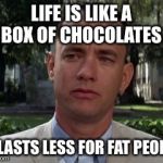 Forest gump | LIFE IS LIKE A BOX OF CHOCOLATES; IT LASTS LESS FOR FAT PEOPLE | image tagged in forest gump | made w/ Imgflip meme maker