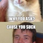 10guy Grumpy Cat | HOW ARE YOU GRUMPY CAT; GOOD; WHY YOU ASK? CAUSE YOU SUCK; WHAT DID YOU SAY!? GRUMPY CAT IS AMAZING! | image tagged in 10guy grumpy cat | made w/ Imgflip meme maker