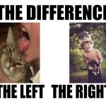 the difference of pussies