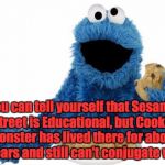 cookie monster | You can tell yourself that Sesame Street is Educational, but Cookie Monster has lived there for about 40 years and still can't conjugate verbs. | image tagged in cookie monster | made w/ Imgflip meme maker