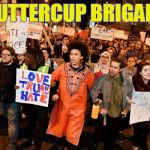Buttercup Brigade | BUTTERCUP BRIGADE | image tagged in buttercup brigade | made w/ Imgflip meme maker