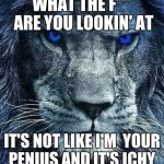 detroit lions | WHAT THE F*** ARE YOU LOOKIN' AT; IT'S NOT LIKE I'M  YOUR PENIUS AND IT'S ICHY | image tagged in detroit lions | made w/ Imgflip meme maker