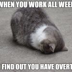 Cat Face Palm - Mondays | WHEN YOU WORK ALL WEEK; AND FIND OUT YOU HAVE OVERTIME | image tagged in cat face palm - mondays | made w/ Imgflip meme maker