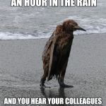 wet penguin | WHEN YOU'VE WALKED TO WORK FOR AN HOUR IN THE RAIN; AND YOU HEAR YOUR COLLEAGUES TALKING ABOUT THE HORRENDOUS RAIN THEY GOT CAUGHT IN WALKING FROM THE CAR PARK | image tagged in wet penguin | made w/ Imgflip meme maker