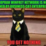 Oprah had an unexpected guest on the show today | THE OPRAH WINFREY NETWORK IS NOW OWNED BY BUSINESS CAT ENTERPRISES; YOU GET NOTHING | image tagged in memes,oprah you get a,business cat | made w/ Imgflip meme maker