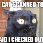 BUT WILL A CAT TELL YOU THE TRUTH? | GOT CAT SCANNED TODAY; IT SAID I CHECKED OUT OK | image tagged in cats,cat scientist,medical | made w/ Imgflip meme maker