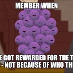 Member Berries | MEMBER WHEN; PEOPLE GOT REWARDED FOR THE THINGS THEY DID - NOT BECAUSE OF WHO THEY WERE? | image tagged in memes,member berries | made w/ Imgflip meme maker