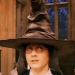 Harry Potter hat