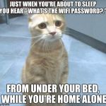 Wifi Mysteries | JUST WHEN YOU'RE ABOUT TO SLEEP YOU HEAR " WHAT'S THE WIFI PASSWORD?."; FROM UNDER YOUR BED, WHILE YOU'RE HOME ALONE | image tagged in sad kitty,wifi,bed,home alone | made w/ Imgflip meme maker