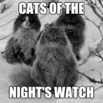 Cats of the Night's Watch | CATS OF THE; NIGHT'S WATCH | image tagged in cats of the night's watch,game of thrones | made w/ Imgflip meme maker