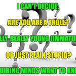 Question marks | I CAN'T DECIDE;; ARE YOU ARE A TROLL? REALLY-REALLY YOUNG (IMMATURE)? OR JUST PLAIN STUPID? INQUIRING MINDS WANT TO KNOW... | image tagged in question marks | made w/ Imgflip meme maker