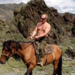 putin horse