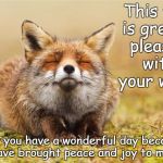 Inner Peace Fox | This fox is greatly pleased with your work! May you have a wonderful day because you have brought peace and joy to my soul! | image tagged in inner peace fox | made w/ Imgflip meme maker