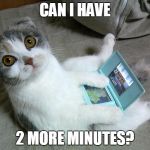 Cat Playing Games | CAN I HAVE; 2 MORE MINUTES? | image tagged in memes,cats | made w/ Imgflip meme maker