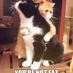 If ur not contented | DON'T LISTEN TO THEM; YOU'RE NOT FAT YOU'RE FLUFFY | image tagged in memes,cats | made w/ Imgflip meme maker