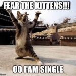 karate cat | FEAR THE KITTENS!!! OO I'AM SINGLE | image tagged in karate cat | made w/ Imgflip meme maker