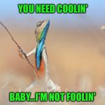 Waaay down inside...woman...you need... (Whole lotta love) | YOU NEED COOLIN'; BABY...I'M NOT FOOLIN' | image tagged in lizard,led zeppelin,whole lotta love,jimmy page  robert plant | made w/ Imgflip meme maker