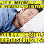 Trump Zen | WHEN LIBTARDS TAUNT ABOUT TRUMP CHANGING WHAT HE PROMISED; AND YOU KNOW HE STILL GETS TO PICK THE SCOTUS JUSTICES | image tagged in trump zen | made w/ Imgflip meme maker