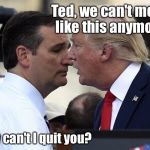 TRUMP CRUZ | Ted, we can't meet like this anymore; Why can't I quit you? | image tagged in trump cruz,memes | made w/ Imgflip meme maker