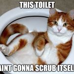 Funny Cat | THIS TOILET; AINT GONNA SCRUB ITSELF | image tagged in mr clean | made w/ Imgflip meme maker