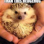 Thistle the Hedgehog | YOUR LOGIC IS FURRIER THAN THIS HEDGEHOG | image tagged in thistle the hedgehog | made w/ Imgflip meme maker