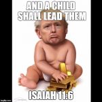 Trump Baby | AND A CHILD SHALL LEAD THEM; ISAIAH 11:6 | image tagged in trump baby | made w/ Imgflip meme maker