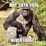 never forget | MAY  28TH  2016; NEVER FORGET | image tagged in never forget | made w/ Imgflip meme maker