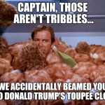 Kirk Tribbles | CAPTAIN, THOSE AREN'T TRIBBLES... WE ACCIDENTALLY BEAMED YOU INTO DONALD TRUMP'S TOUPEE CLOSET | image tagged in kirk tribbles,memes,star trek | made w/ Imgflip meme maker