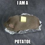 Baked potato Guinea pig | I AM A; POTATOE | image tagged in baked potato guinea pig | made w/ Imgflip meme maker