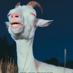 GoatMixMeme | THE FEELING OF; FREE TIME | image tagged in goatmixmeme | made w/ Imgflip meme maker