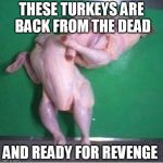 Happy Thanksgiving  | THESE TURKEYS ARE BACK FROM THE DEAD; AND READY FOR REVENGE | image tagged in jiu jitsu turkey,thanksgiving,memes,funny memes,funny,happy thanksgiving | made w/ Imgflip meme maker