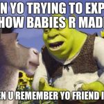 shrek01 | WHEN YO TRYING TO EXPLAIN HOW BABIES R MADE; BUT THEN U REMEMBER YO FRIEND IS DUMB | image tagged in shrek01 | made w/ Imgflip meme maker