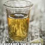 soul | BECAUSE THE FLOWER THAT IS YOUR SOUL NEEDS WATERING | image tagged in tequila | made w/ Imgflip meme maker