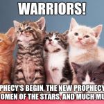 kittens | WARRIORS! THE PROPHECY'S BEGIN, THE NEW PROPHECY, POWER OF THREE, OMEN OF THE STARS, AND MUCH MUCH MORE! | image tagged in kittens | made w/ Imgflip meme maker