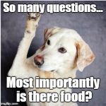 DogQuestions | So many questions... Most importantly is there food? | image tagged in dogquestions | made w/ Imgflip meme maker