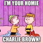 Wherr my homies at? | I'M YOUR HOMIE; CHARLIE BROWN! | image tagged in charlie brown and linus | made w/ Imgflip meme maker