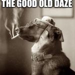 Dog Smoking Weed | THE GOOD OLD DAZE | image tagged in dog smoking weed | made w/ Imgflip meme maker