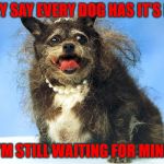 Every Dog Has It's Day | THEY SAY EVERY DOG HAS IT'S DAY; I'M STILL WAITING FOR MINE | image tagged in ugly dog,ain't she purdy,every dog has its day,is this a clue,a mythical tag | made w/ Imgflip meme maker