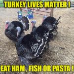 Turkeys | TURKEY LIVES MATTER ! EAT HAM , FISH OR PASTA ! | image tagged in turkeys | made w/ Imgflip meme maker