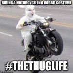 #TheThugLife | RIDING A MOTORCYCLE IN A RABBIT COSTUME; #THETHUGLIFE | image tagged in funny bunny motorcycle wheelie,thug life,rabbits,costume,funny,memes | made w/ Imgflip meme maker