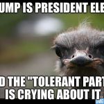 Disapproving ostrich  | TRUMP IS PRESIDENT ELECT; AND THE "TOLERANT PARTY" IS CRYING ABOUT IT | image tagged in disapproving ostrich | made w/ Imgflip meme maker