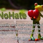 No Fundamentalism Frog | "Equality and self-determination should never be divided in the name of religious or ideological fervor."; ~Rita Dove | image tagged in no hate frog,rita dove,equality,fundamentalists | made w/ Imgflip meme maker
