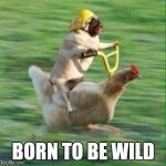 Born to ride | BORN TO BE WILD | image tagged in pug life | made w/ Imgflip meme maker