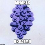 Member Berries | MEMBER; ORGAZMO | image tagged in member berries | made w/ Imgflip meme maker