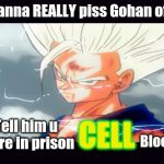 Wanna REALLY piss Gohan off??? | Wanna REALLY piss Gohan off? Tell him u were in prison; CELL; Block D | image tagged in gohan,dragon ball z,cell,dbz meme,cell dbz,dbz | made w/ Imgflip meme maker