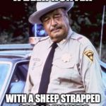 Buford Skeptical | A DEER HUNTER; WITH A SHEEP STRAPPED ACROSS HIS HOOD | image tagged in buford skeptical | made w/ Imgflip meme maker