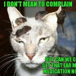Maybe we waited a little too long this time... | I DON'T MEAN TO COMPLAIN; BUT CAN WE GO GET THAT EAR MITE MEDICATION NOW | image tagged in cat  mice,memes,funny animals,funny,animals,cats | made w/ Imgflip meme maker
